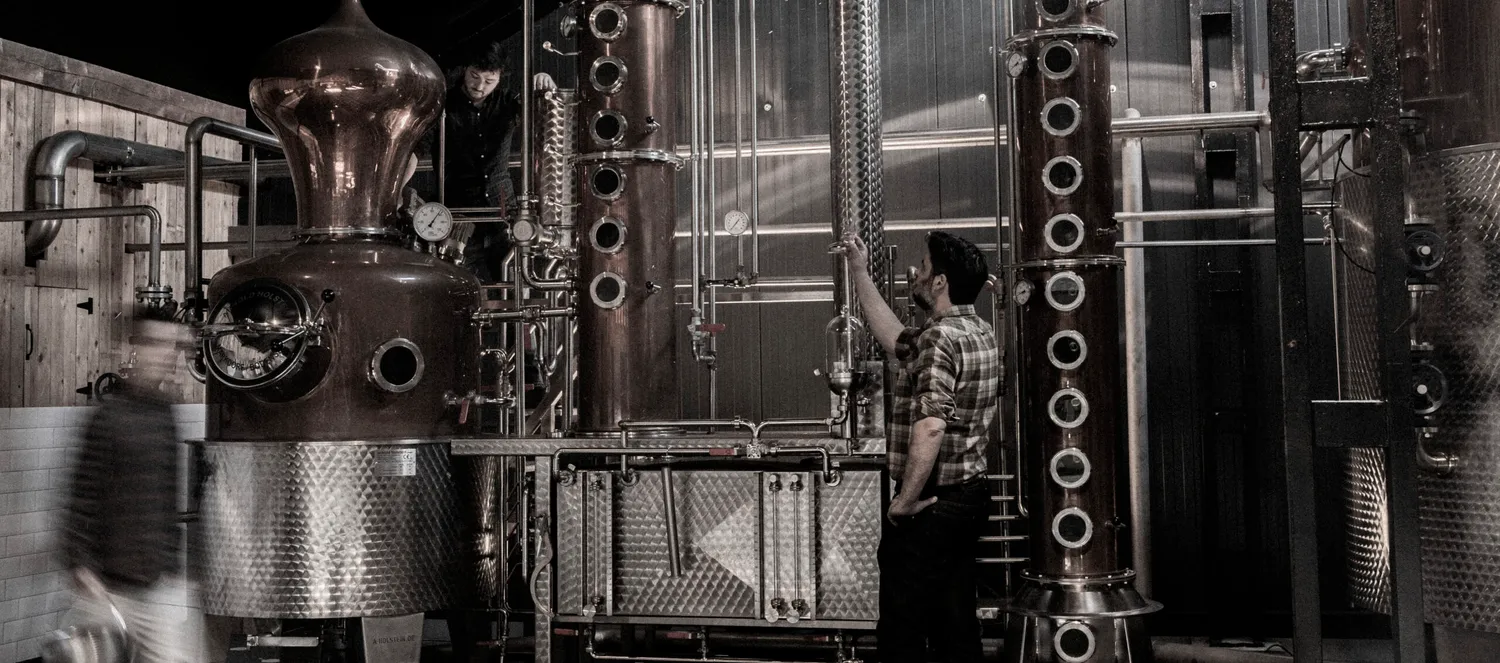 De Cort Grains Belgian vodka graan