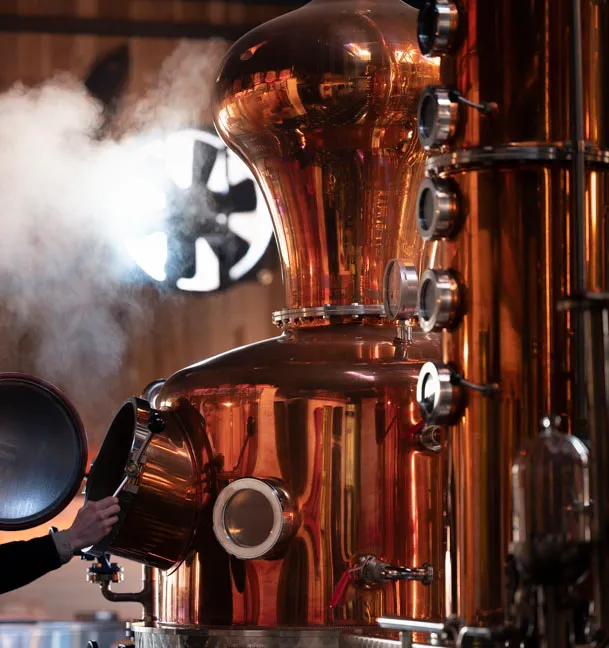 De Cort London Dry Bio gin 42% 70 cl kruidig